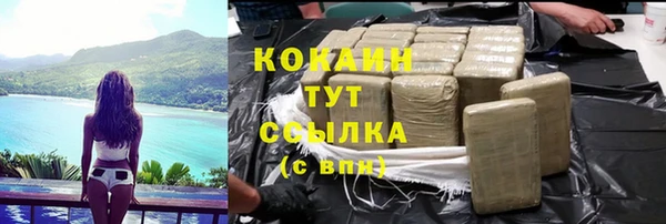 индика Богородицк