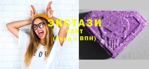 индика Богородицк