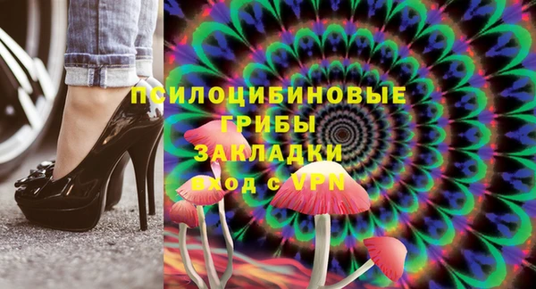МДПВ Богданович