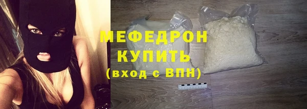 индика Богородицк