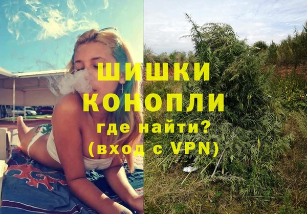 индика Богородицк