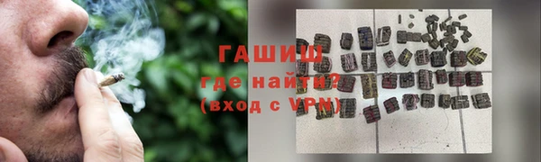 индика Богородицк