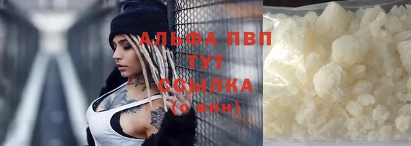 СК Долгопрудный