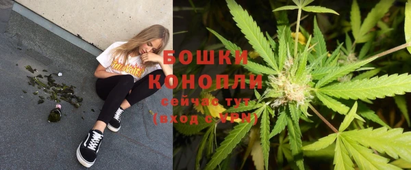 МДПВ Богданович