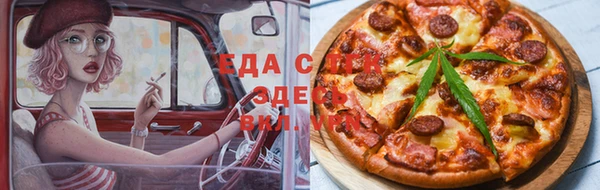 индика Богородицк
