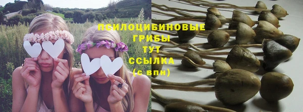 не бодяженный Богородск