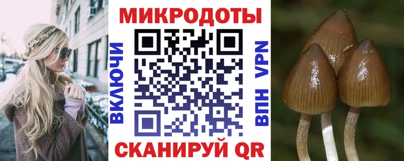 Псилоцибиновые грибы мицелий  Вязьма 