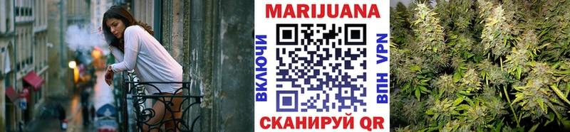 Конопля сатива  купить наркотики сайты  Вязьма 